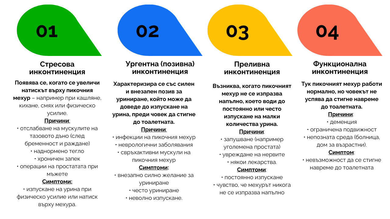 Инфографика с видовете инконтиненция